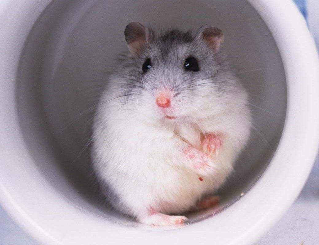 Emily客戶(hù)說(shuō)